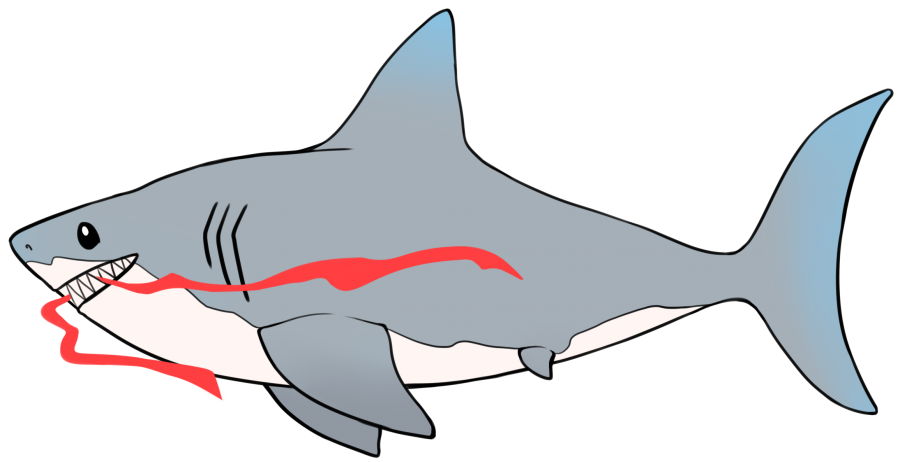 Shark with Red arose.io